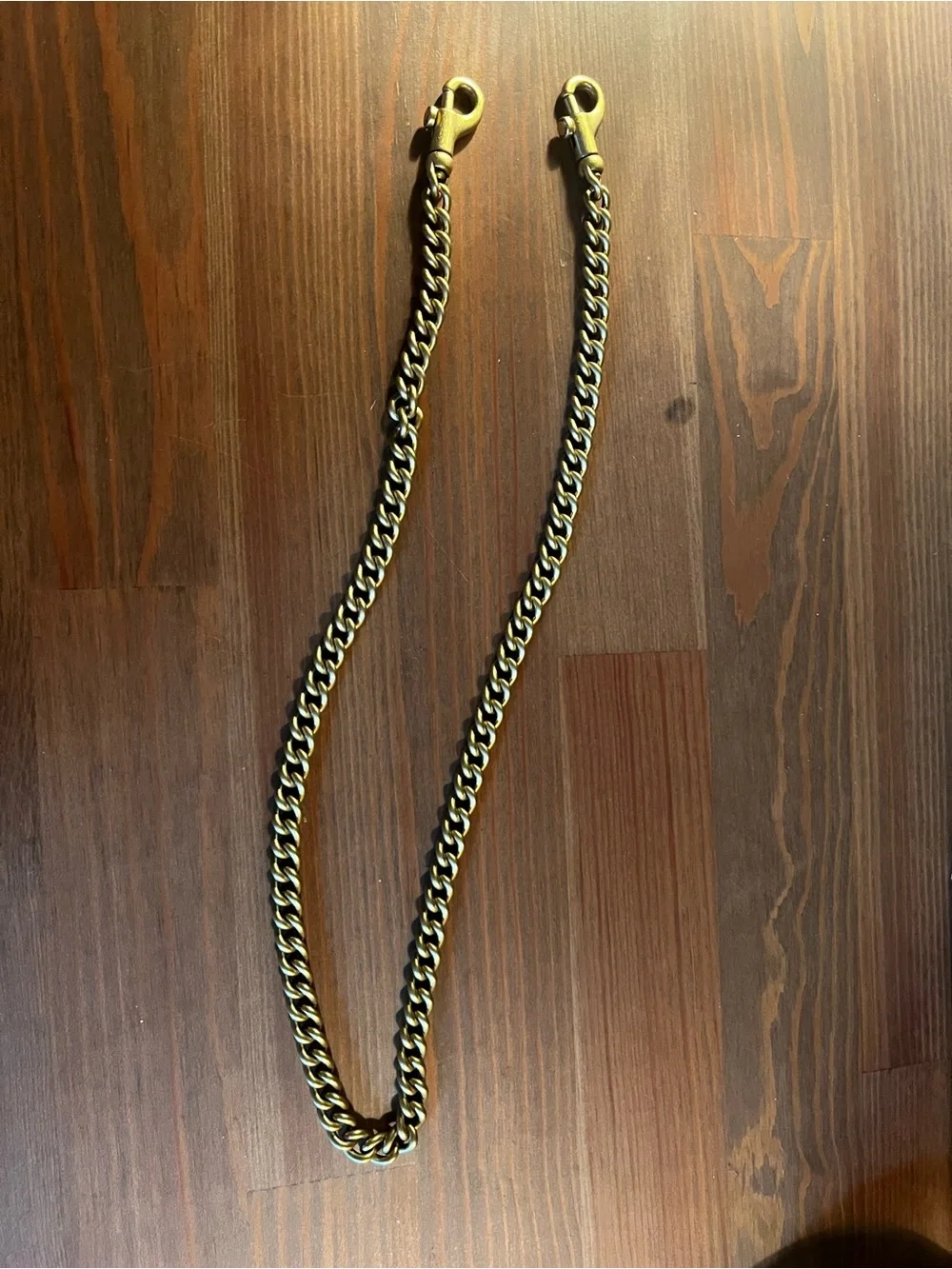 Coach chain brass